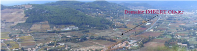 Domaine Imbert Olivier